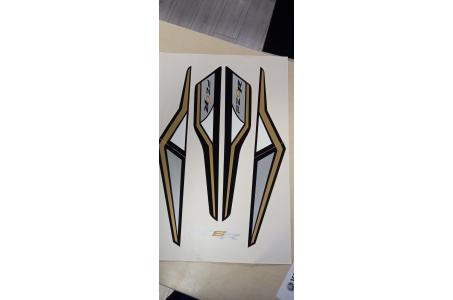 Kit déco FZ8 R